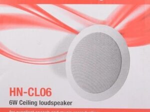 Ceiling Speaker