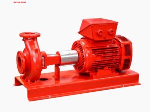 450 LPM 35 M Head Pumps Set